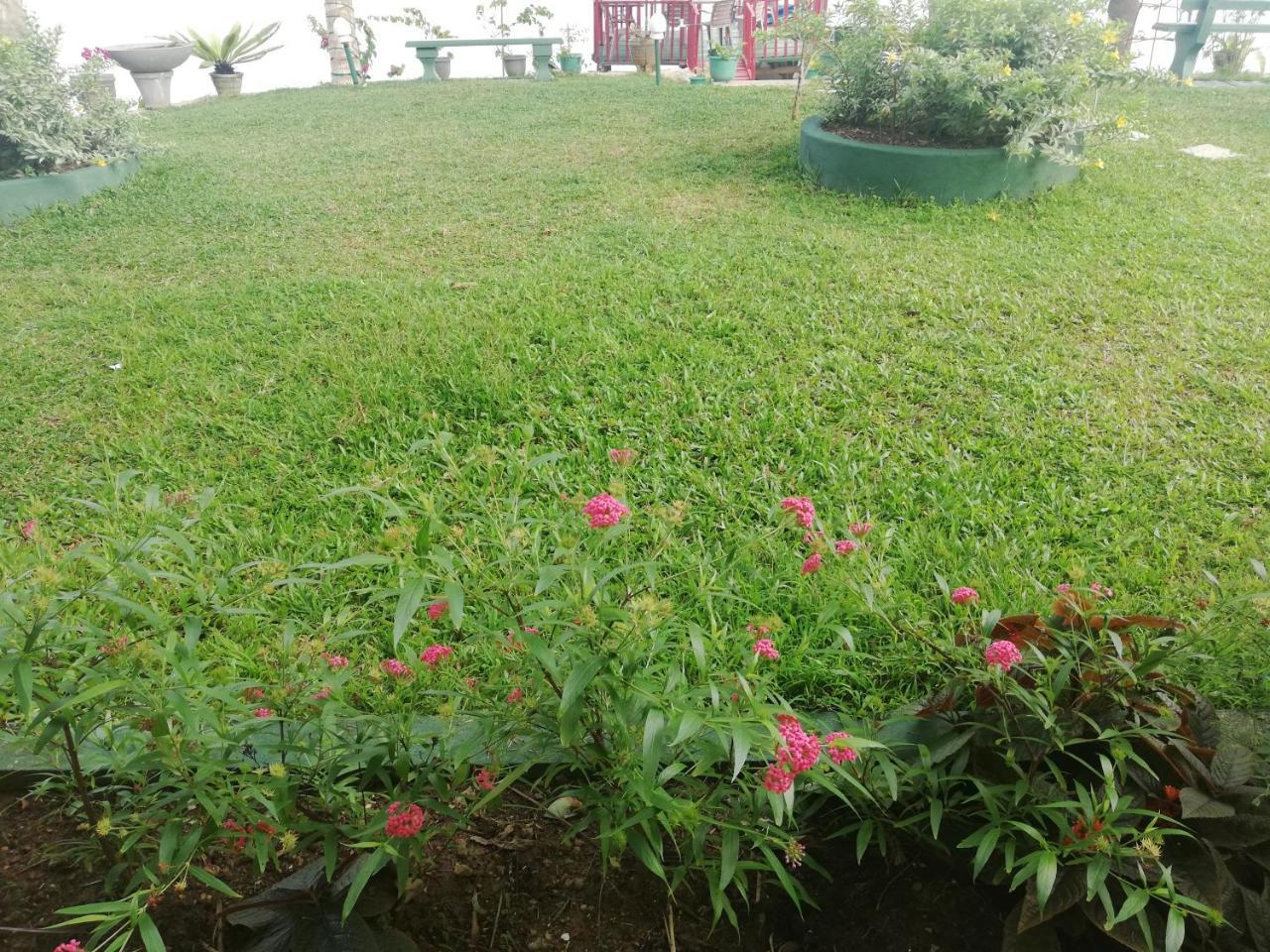 Mahi Villa Бентота Екстер'єр фото